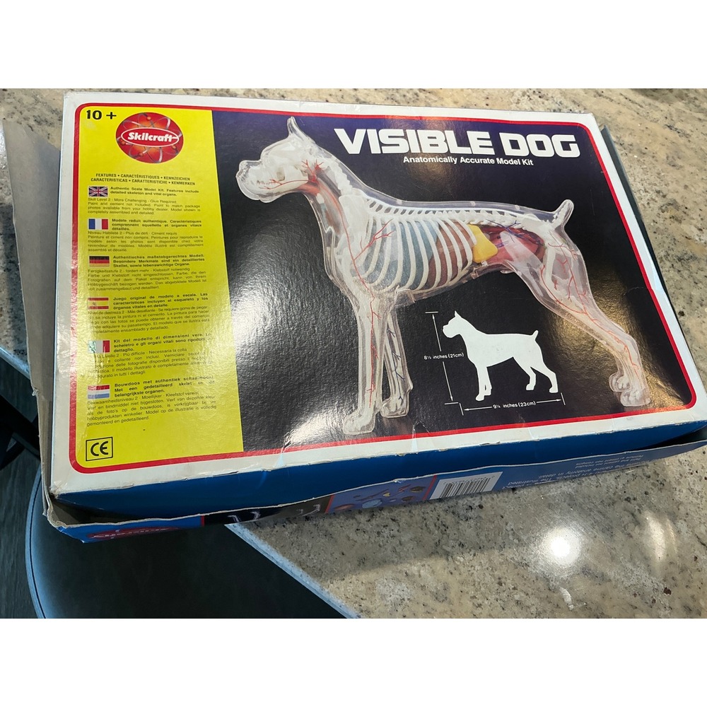 Skilcraft Vintage Visible Dog Anatomically Accurate Model Kit Science‎ Toy 9in